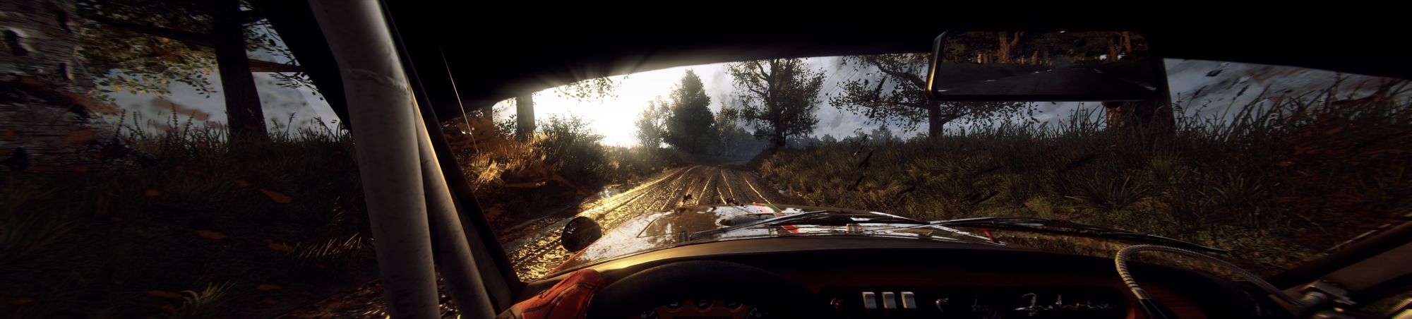 dirt-rally-2-cockpit-view